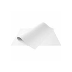 CARTOLINA BRANCA 50X66 1 UN