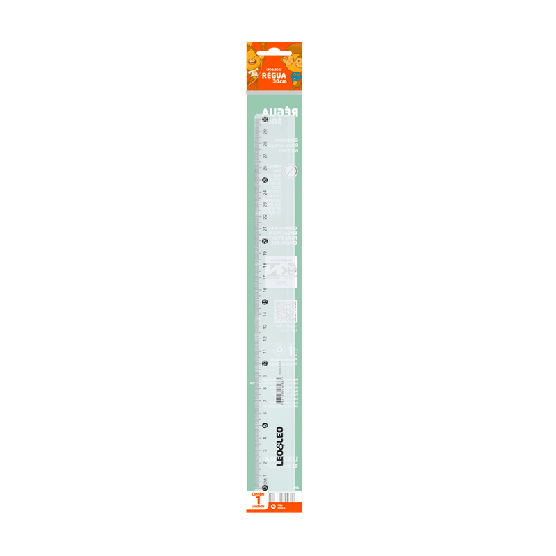 REGUA PLASTICA 30CM